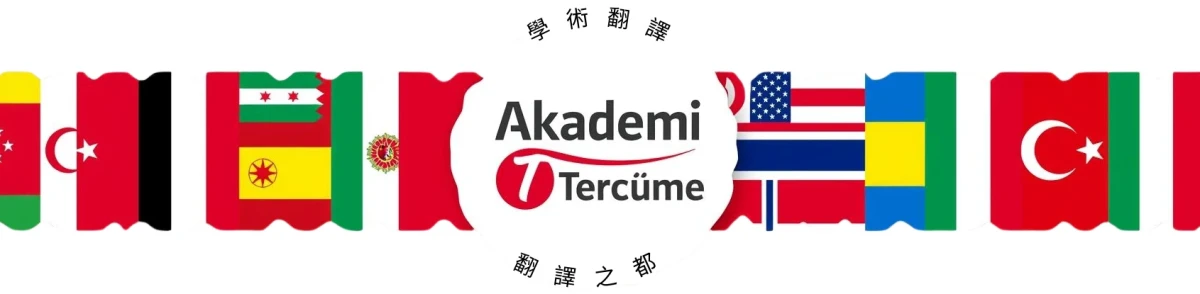 kusursuz çince türkçe çeviri, her alanda tercüme