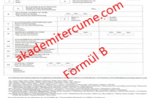 Formül B Çeviri - Evlenme Belgesi Tercüme