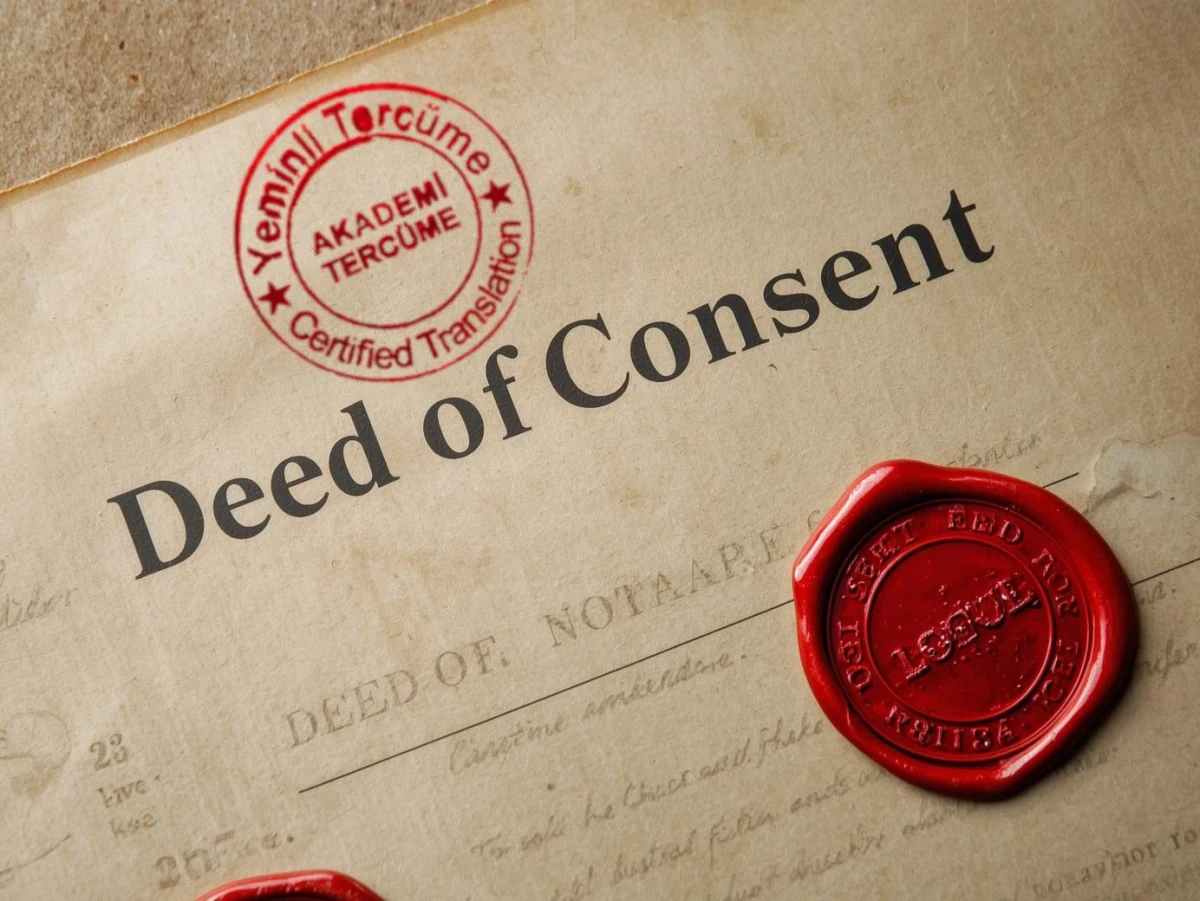 muvafakatname ceviri