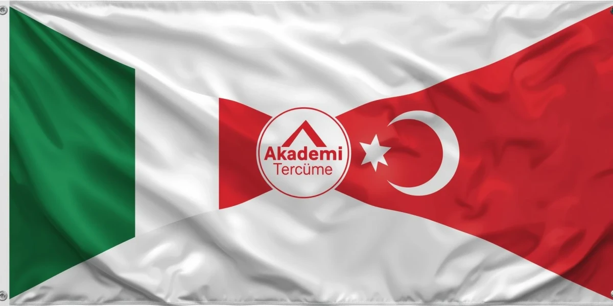 profesyonel, kurum şartlarına odaklı türke italyanca çeviri