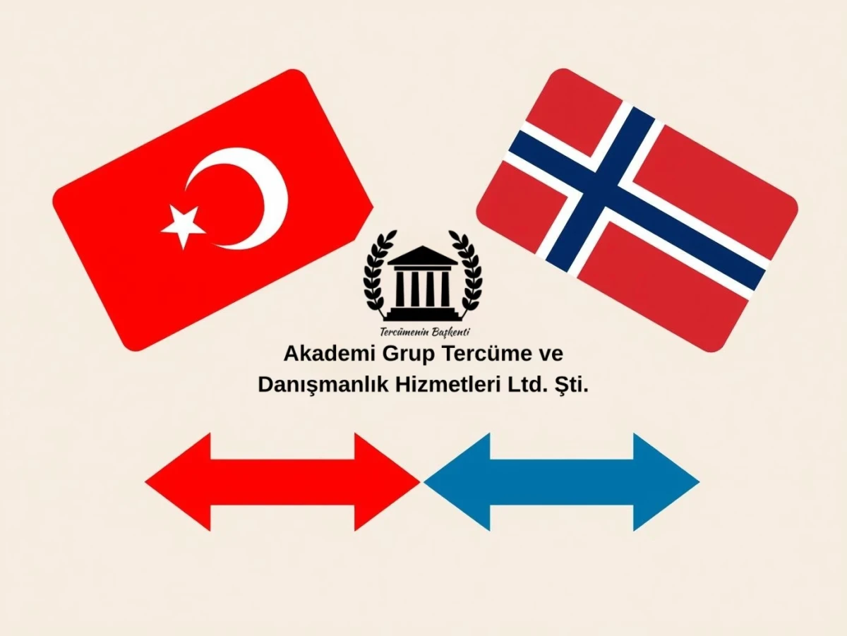 turkce norvecce ceviri