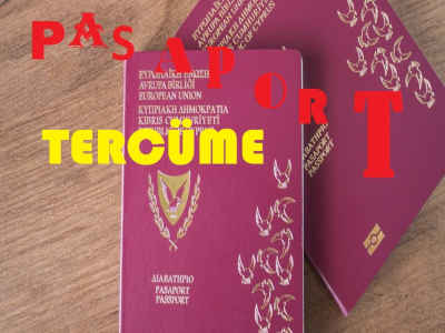 pasaport tercume hizmetleri