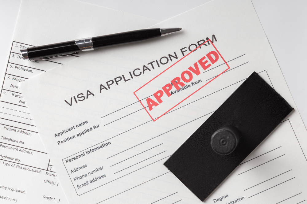 vize başvuru işlemleri